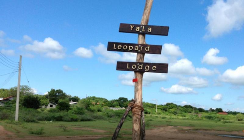 Yala Leopard Lodge Eksteriør billede
